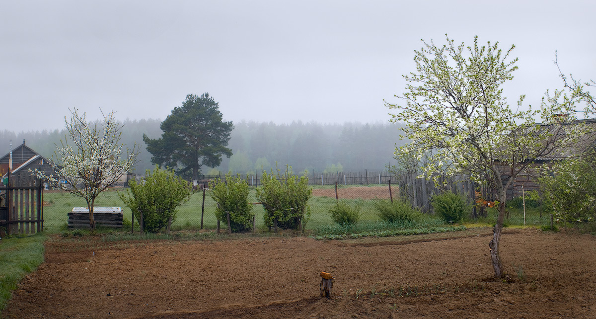 Пришла в деревню весна