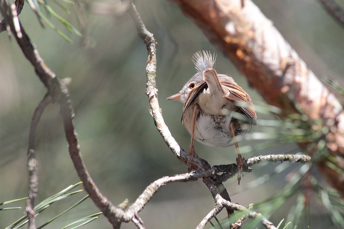 Aus diesem Winkel Ich ziehe ...