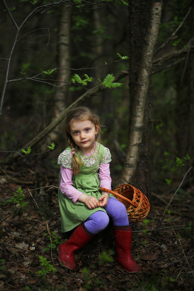 Весной в лесу.