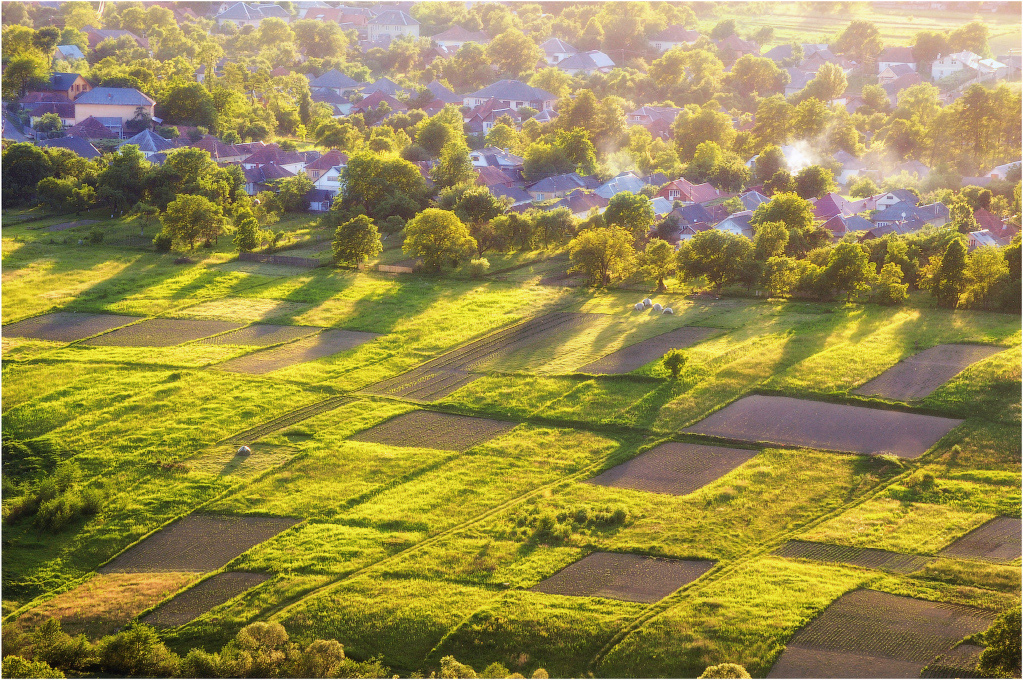 Свалявщина...