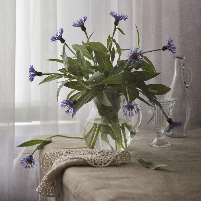 Васильковый...