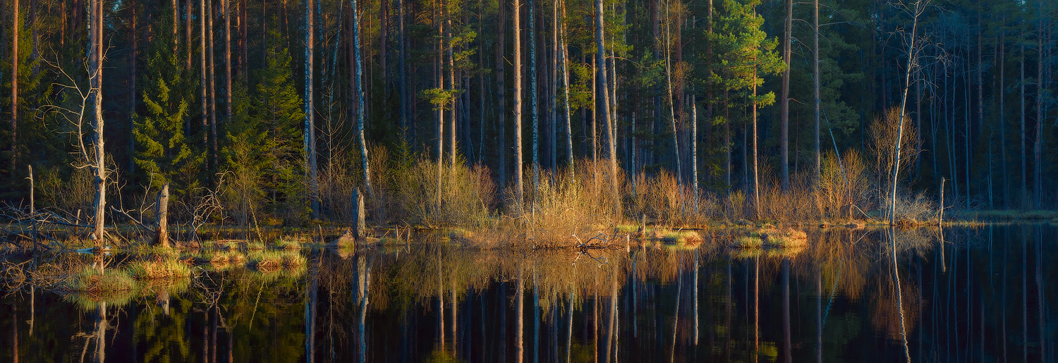 Вечерние ритмы разлива