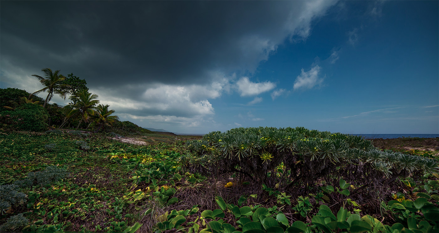 on the southern coast edge