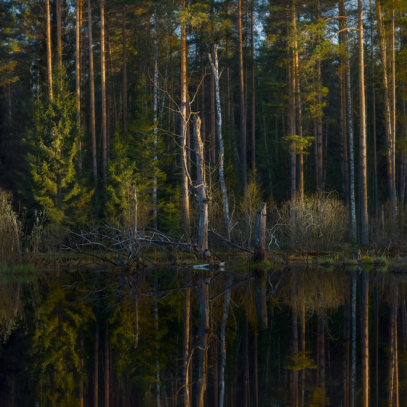 Вечерние тайны...