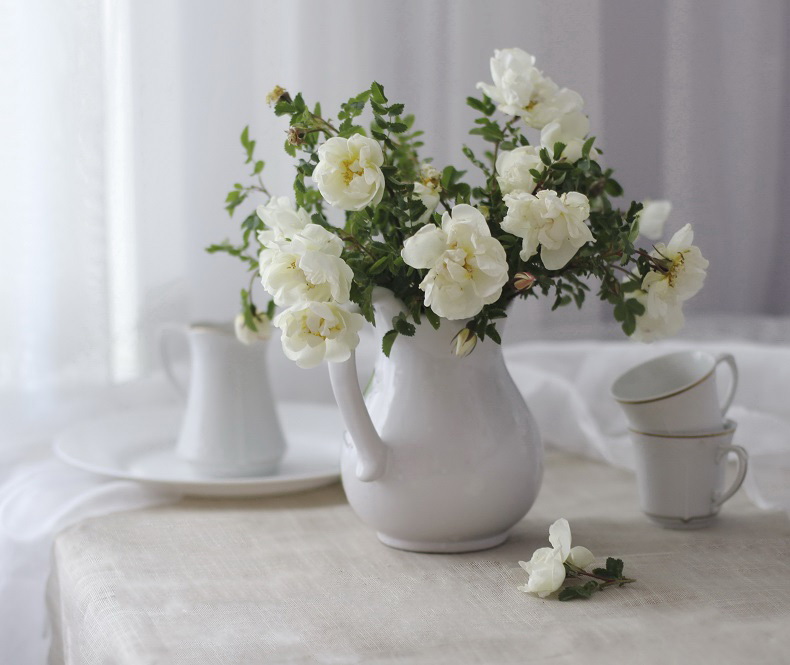 Утро цвета молока...