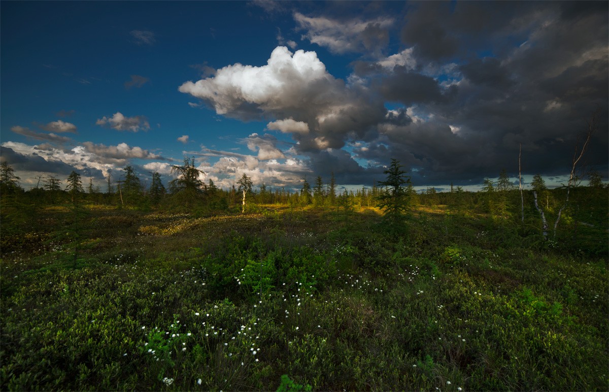 ...at Spring awaiting Autumn