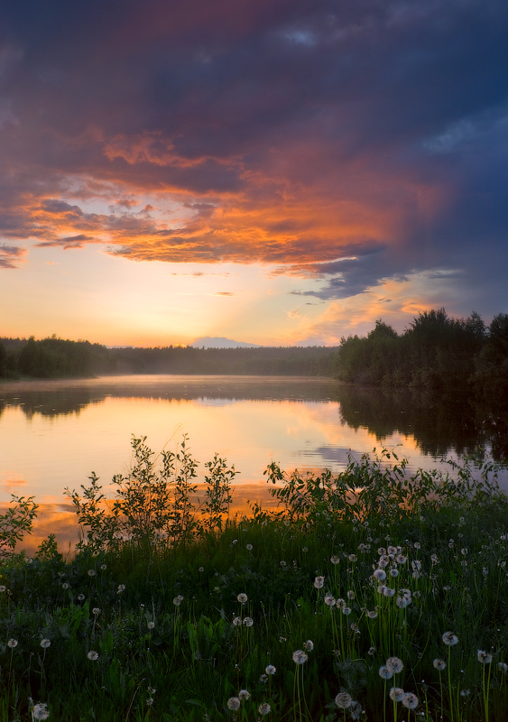 В тишине вечерних красок