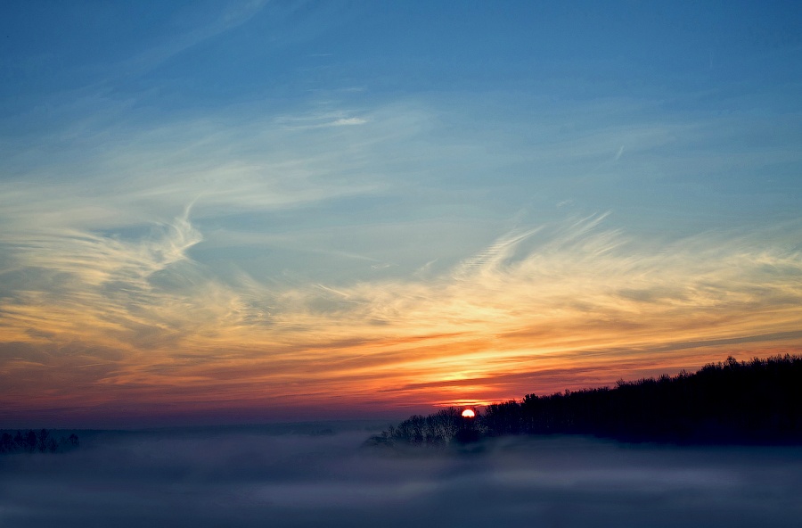 Туман в конце февраля