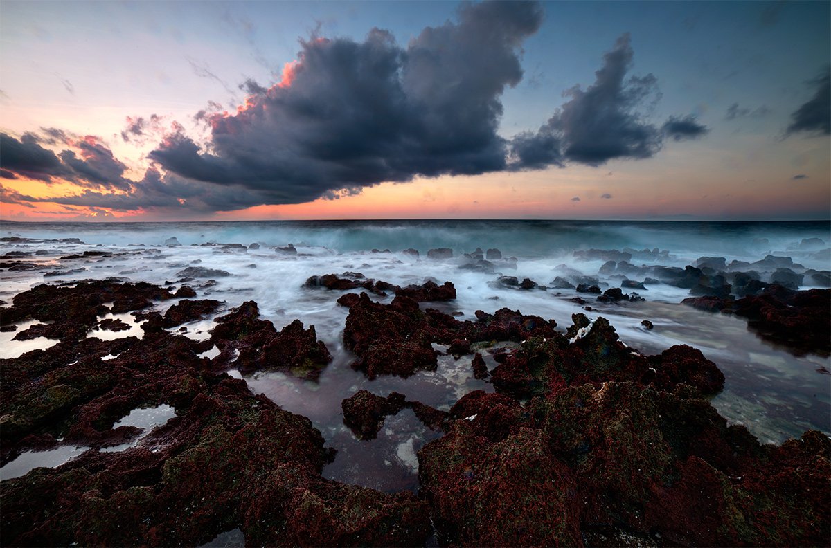 twisted in the morning