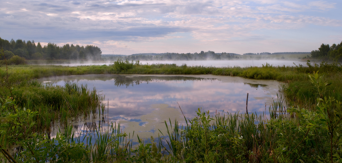 Карасевое место, так и не дождавшееся солнечных лучей
