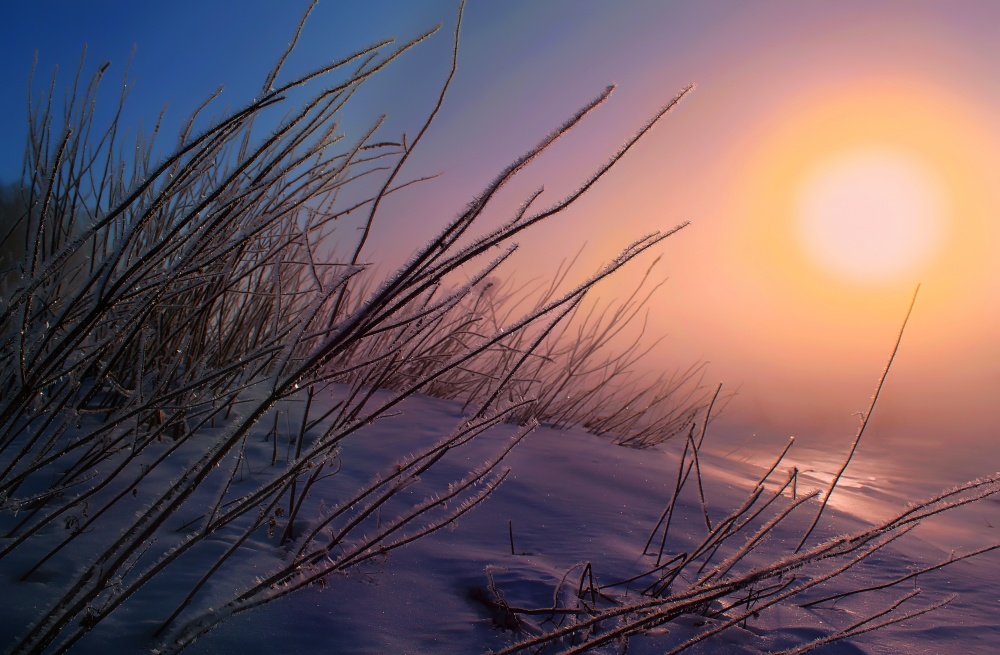 фантазия холода и тумана