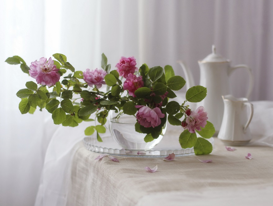 Розовые грёзы....