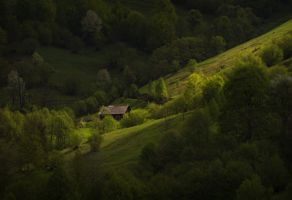 Пасмурные Карпаты*