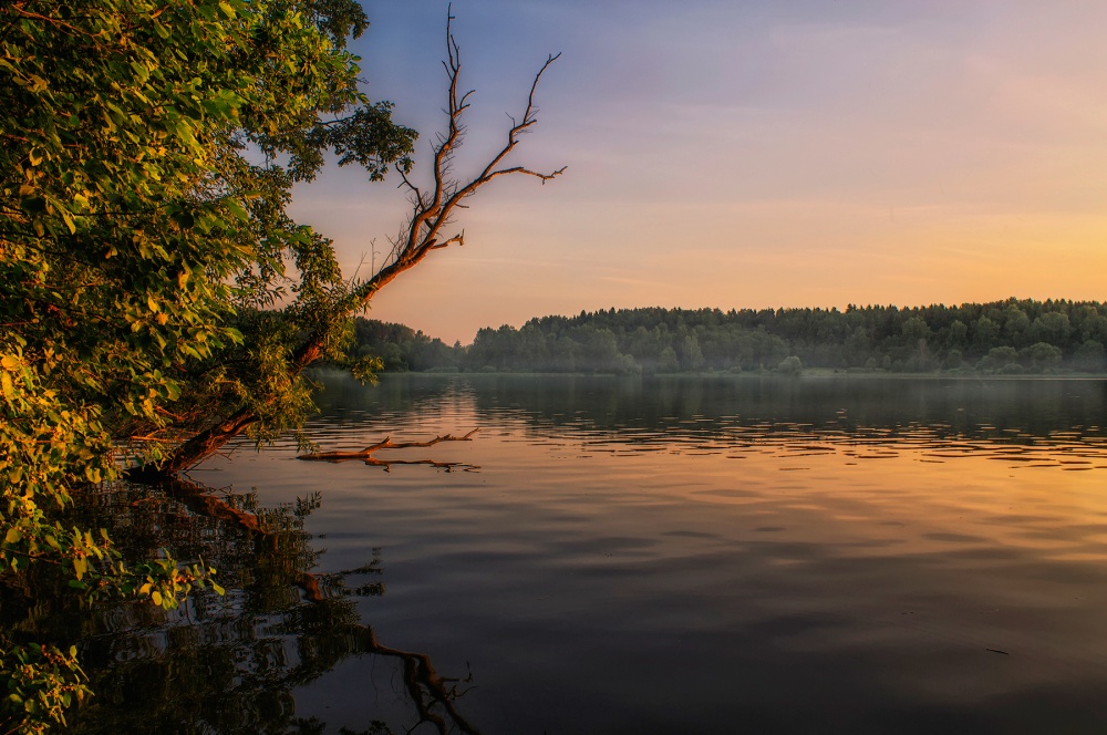 Летний вечер