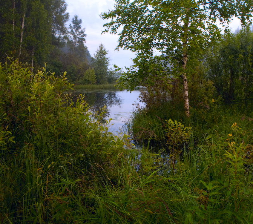Буйство зелени