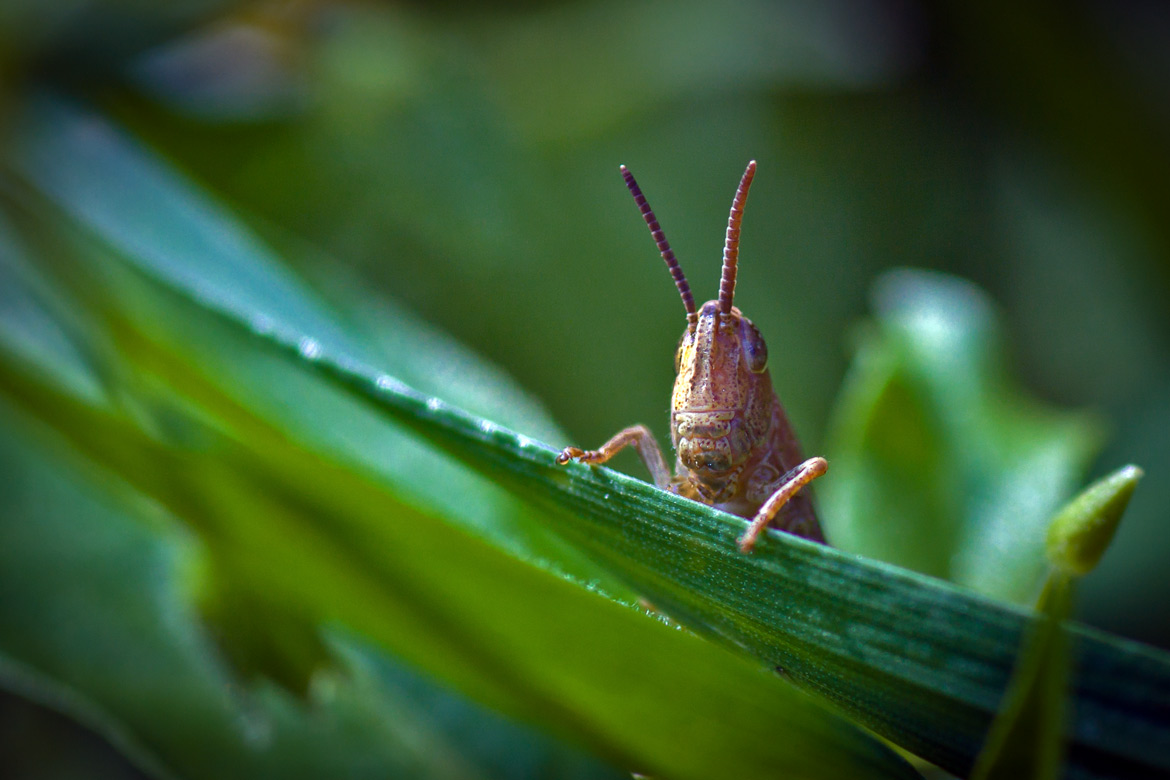 А чё это вы тут делаете,а?