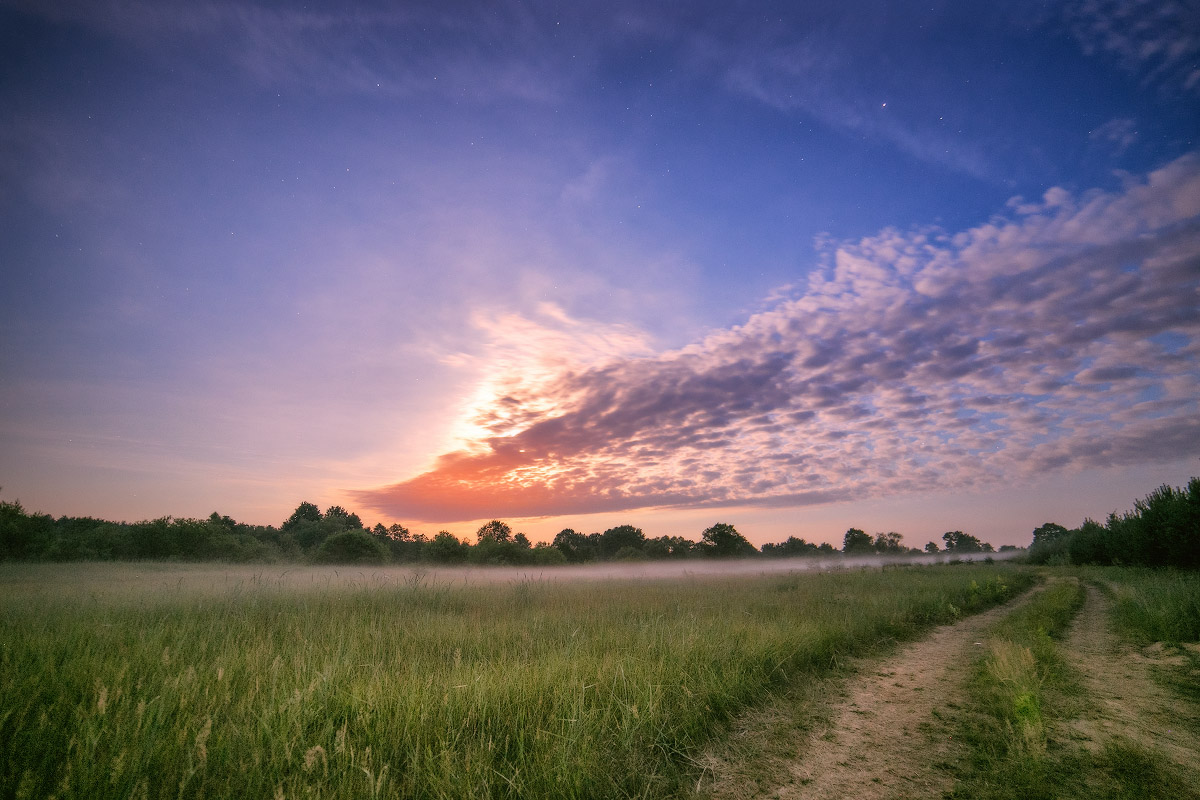 Крыло жар-птицы