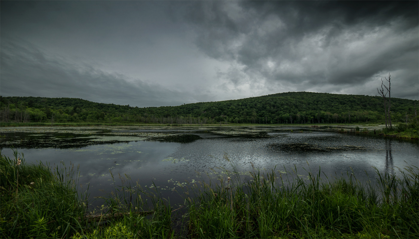 Don't know why there's no sun up in the sky