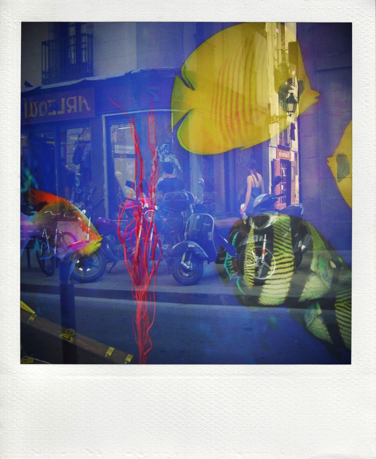 Я с почтовыми рыбами шлю тебе знак II