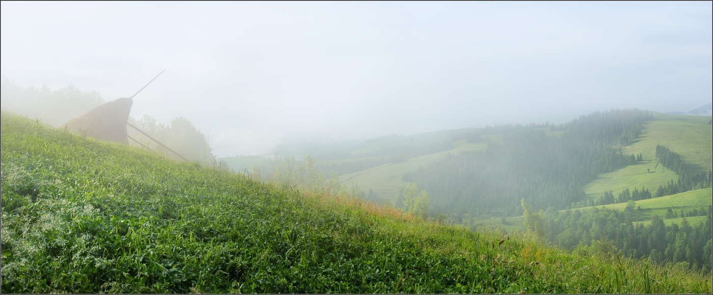 / Летними туманами ... /