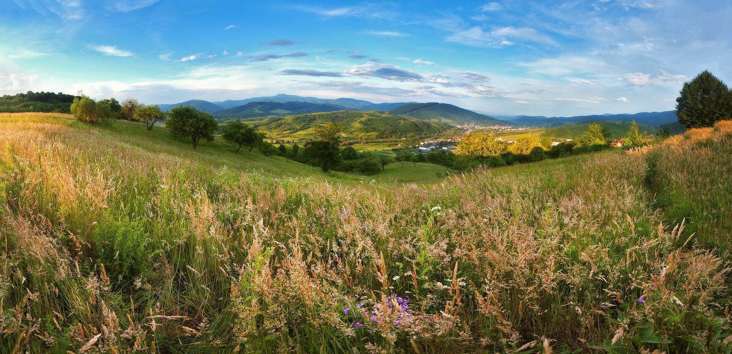 Июнь в Закарпатье
