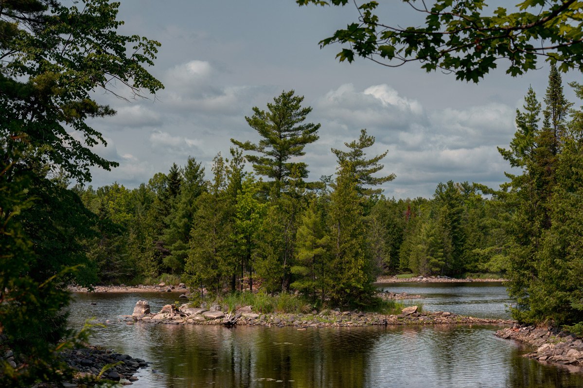 pine covers petite Isl.