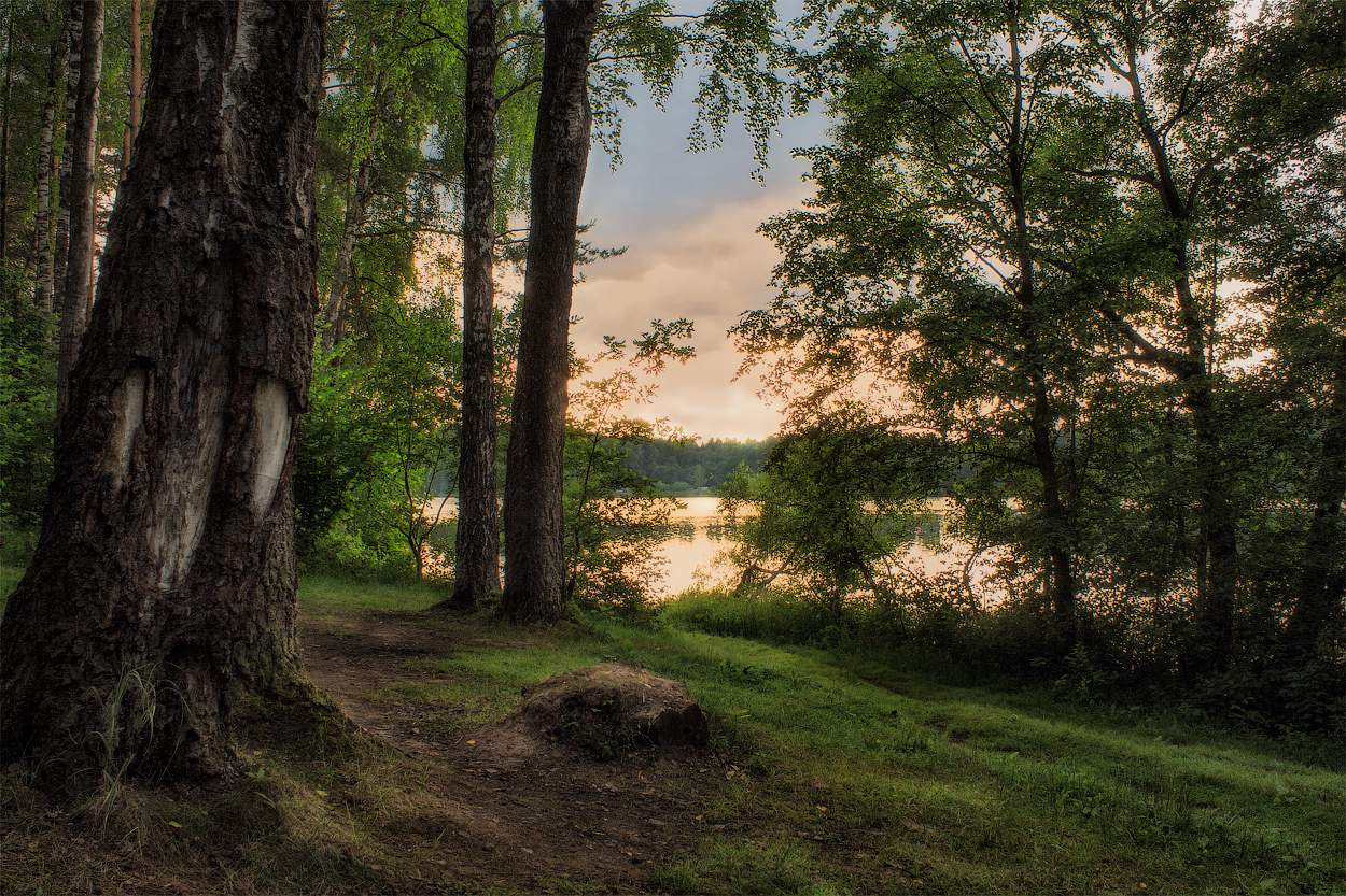 На берегу озера