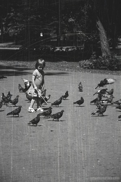 малыш и голуби