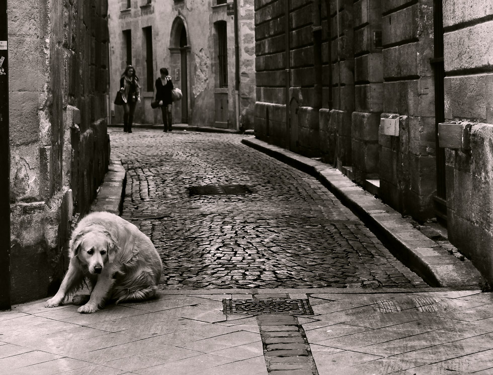 Признаки жизни