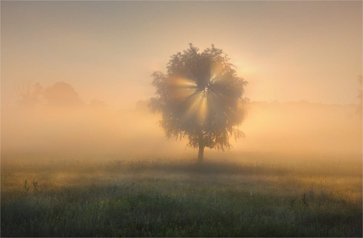Самое Доброе Утро!!!