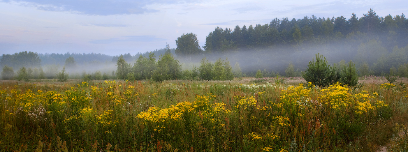 Пора желтого цветения.