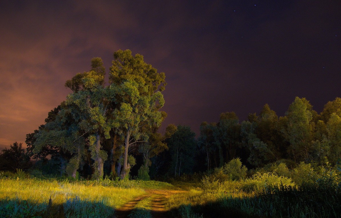 про летнюю ночь