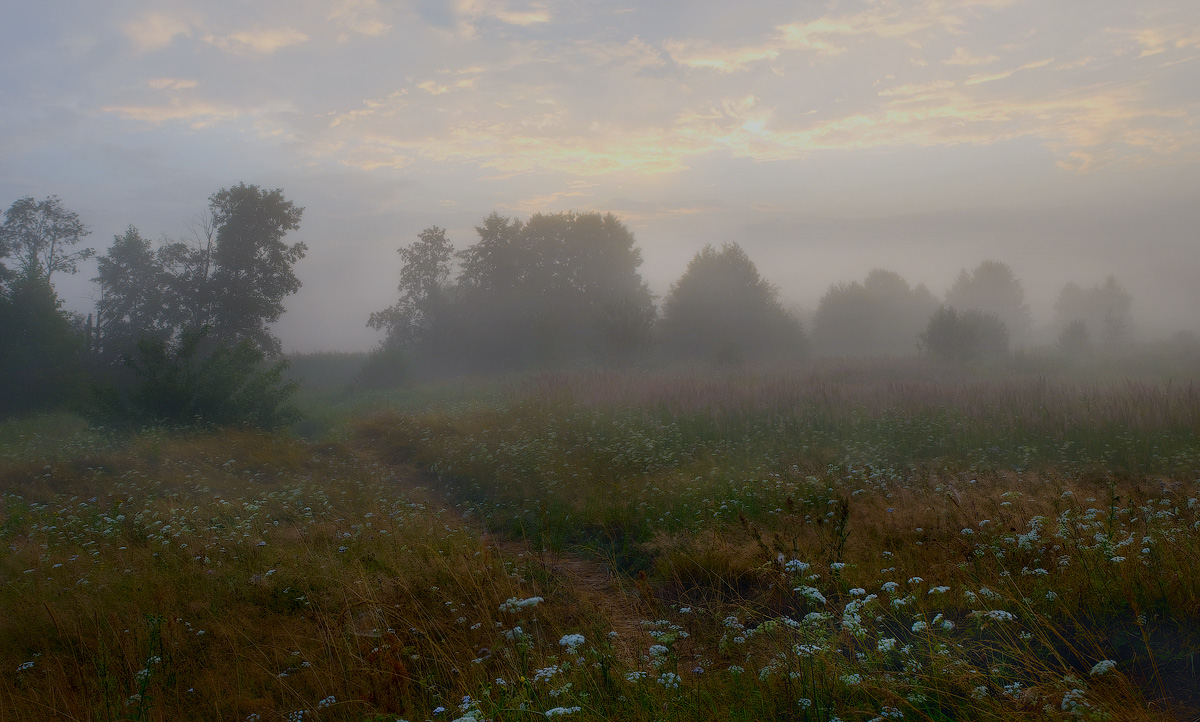 Неопределенность