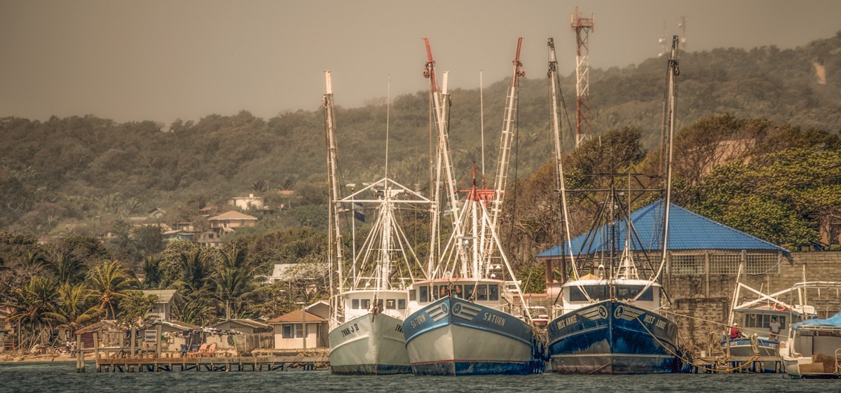 ...в нашу гавань заходили корабли