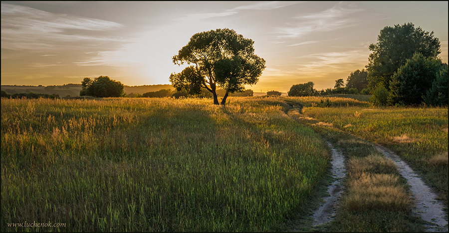 Дорога через поле