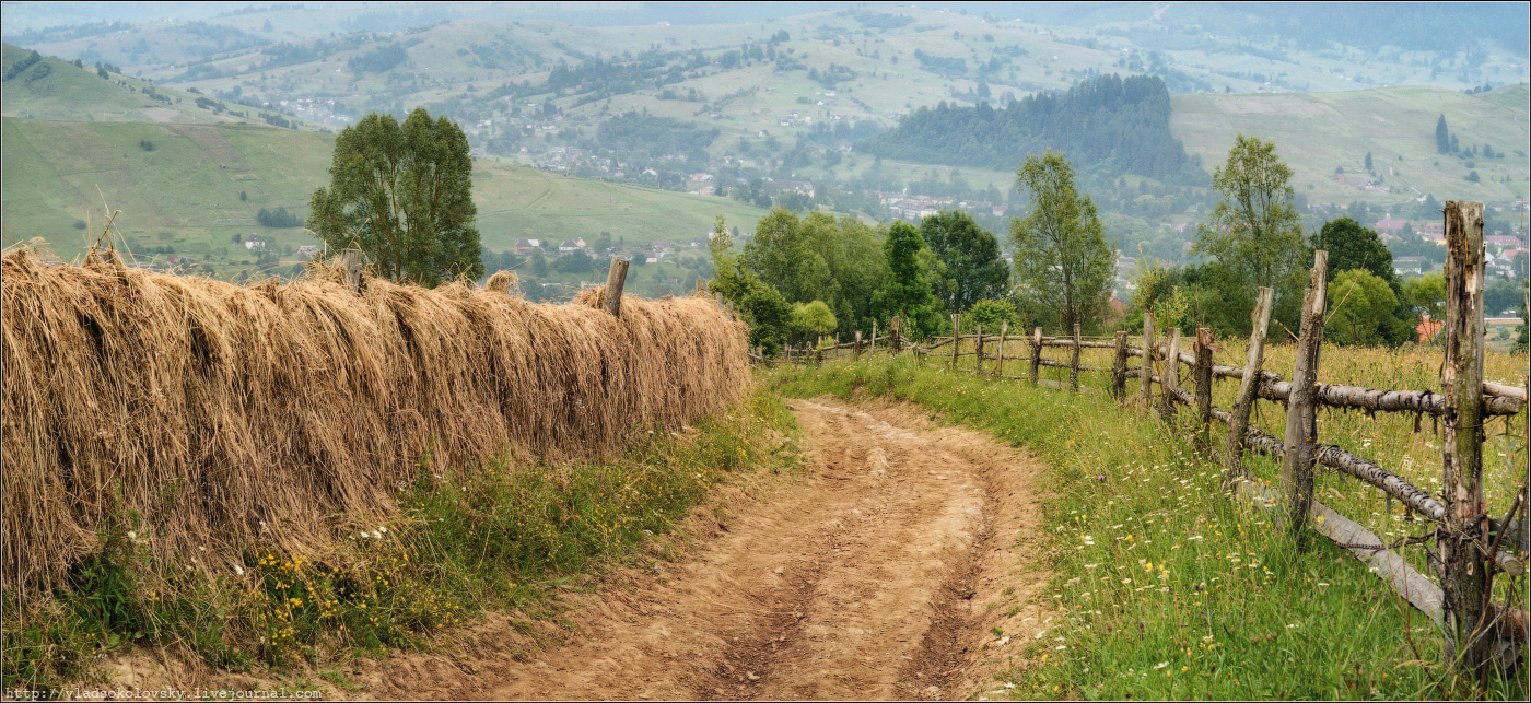 / Пора сенокоса .. /