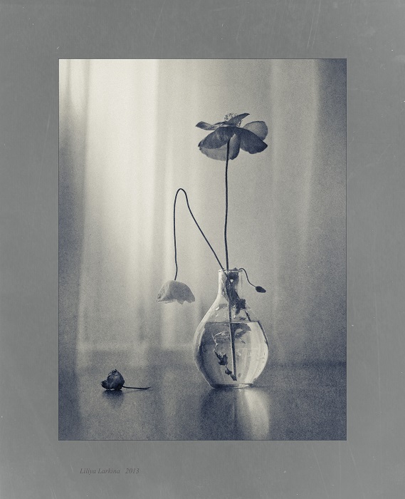 Вянет маковое лето...