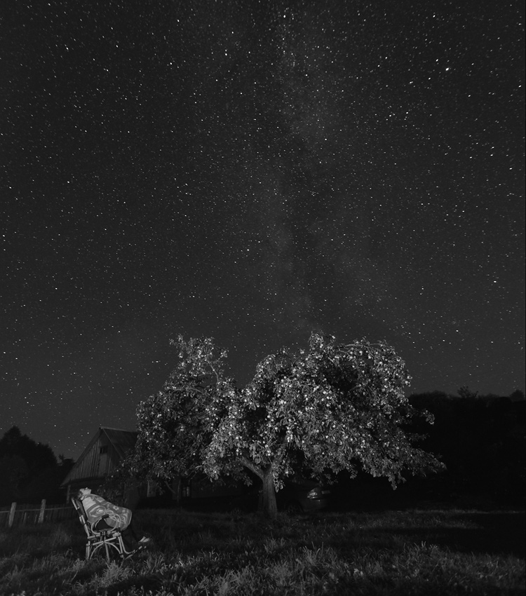 урожайный год