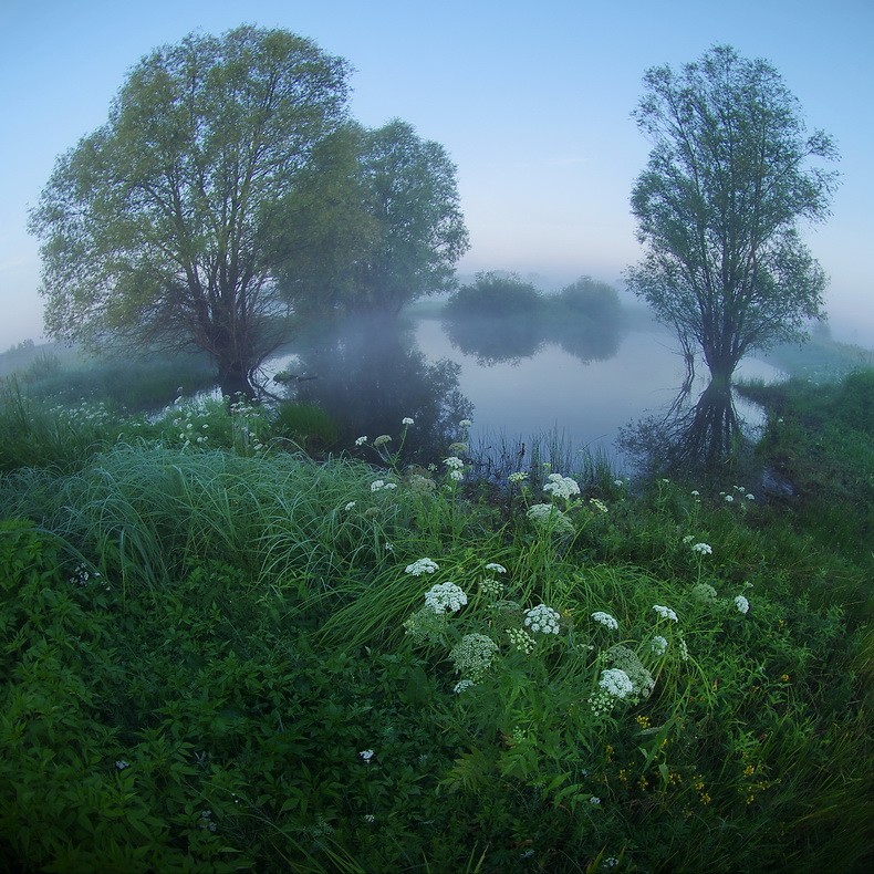утренняя прохлада