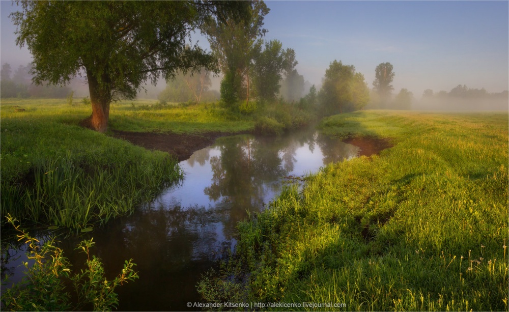 Летнее Утро..