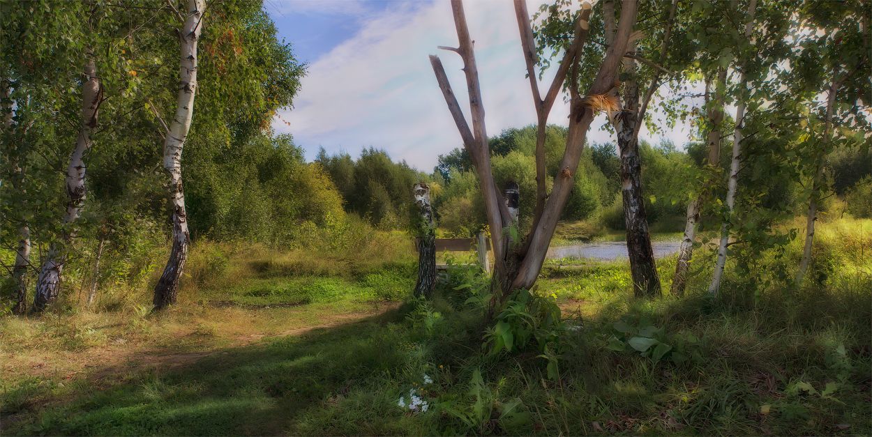 У лесного пруда