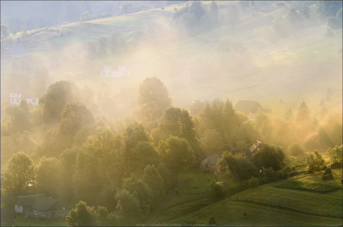 / Июльская пастораль /