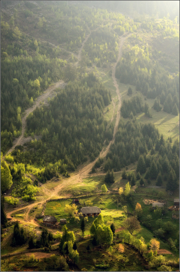 / Вертикаль /