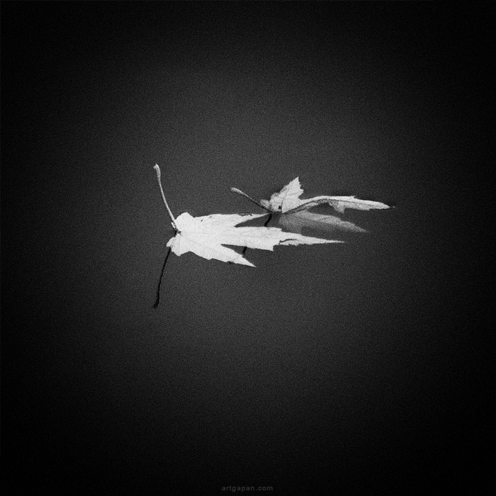 Двое в осенней воде...