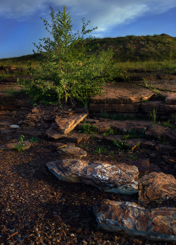 И на камнях...