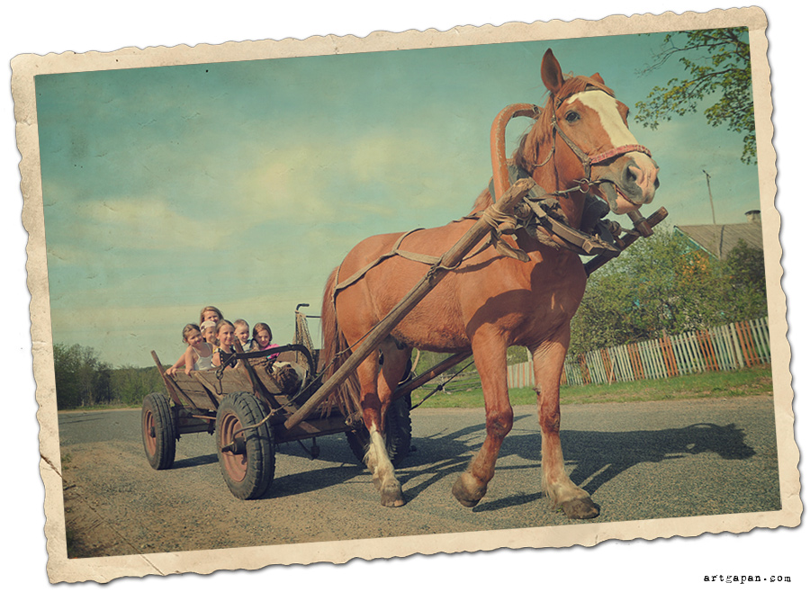 Хорошо в деревне летом...