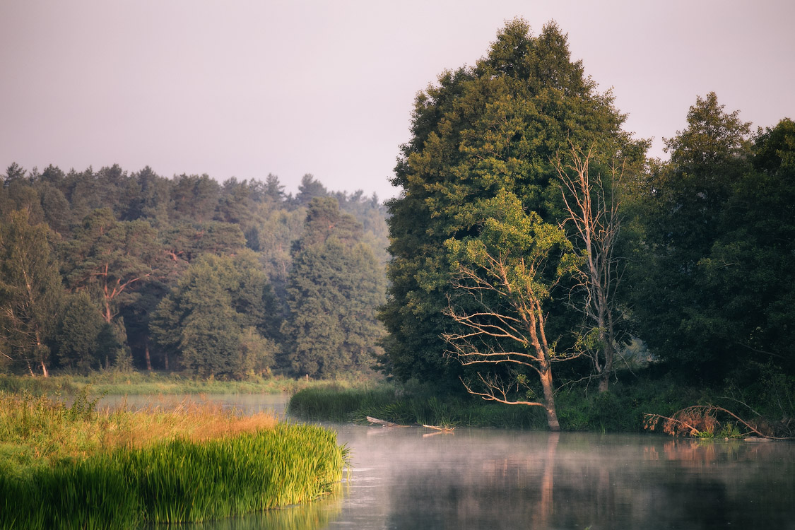 Утро на Вилии