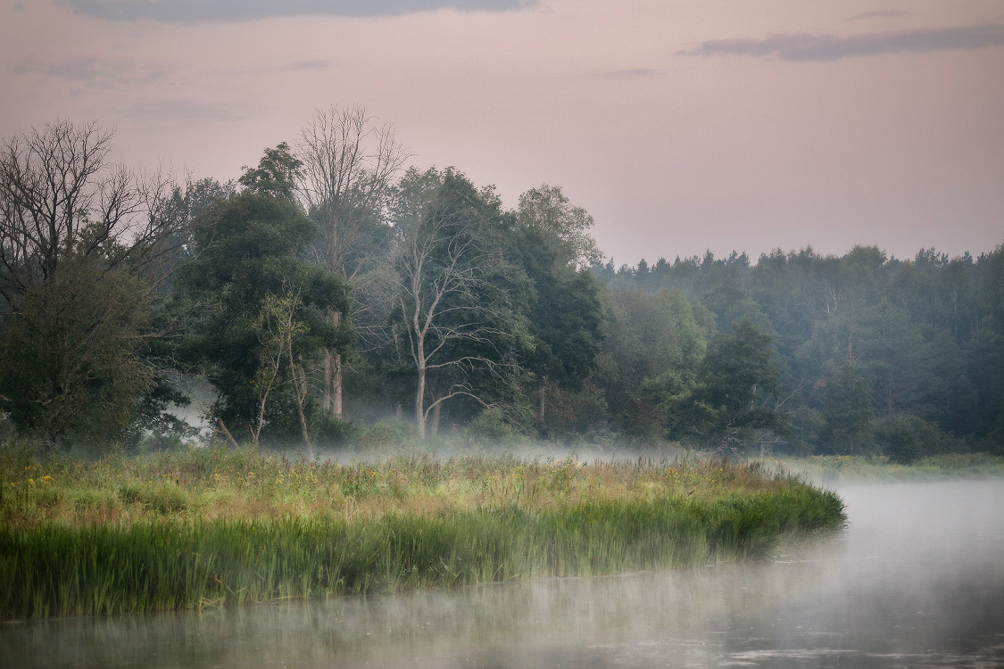 Утро августа