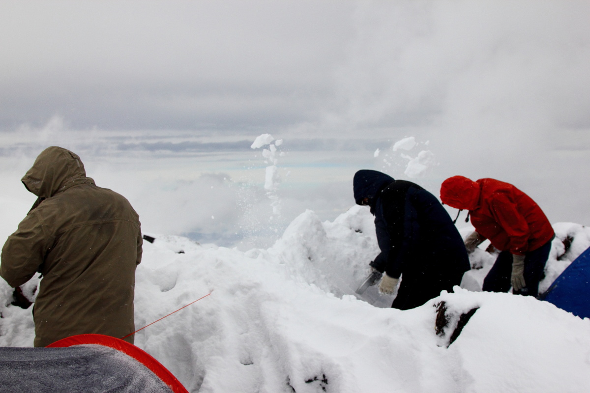Тополиный пух, жара, июль.