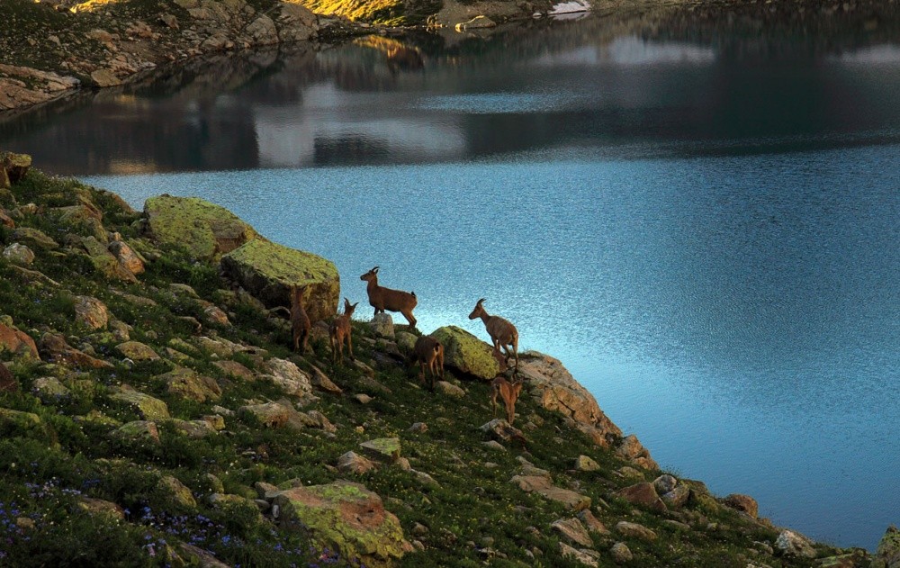 Утро на горном озере